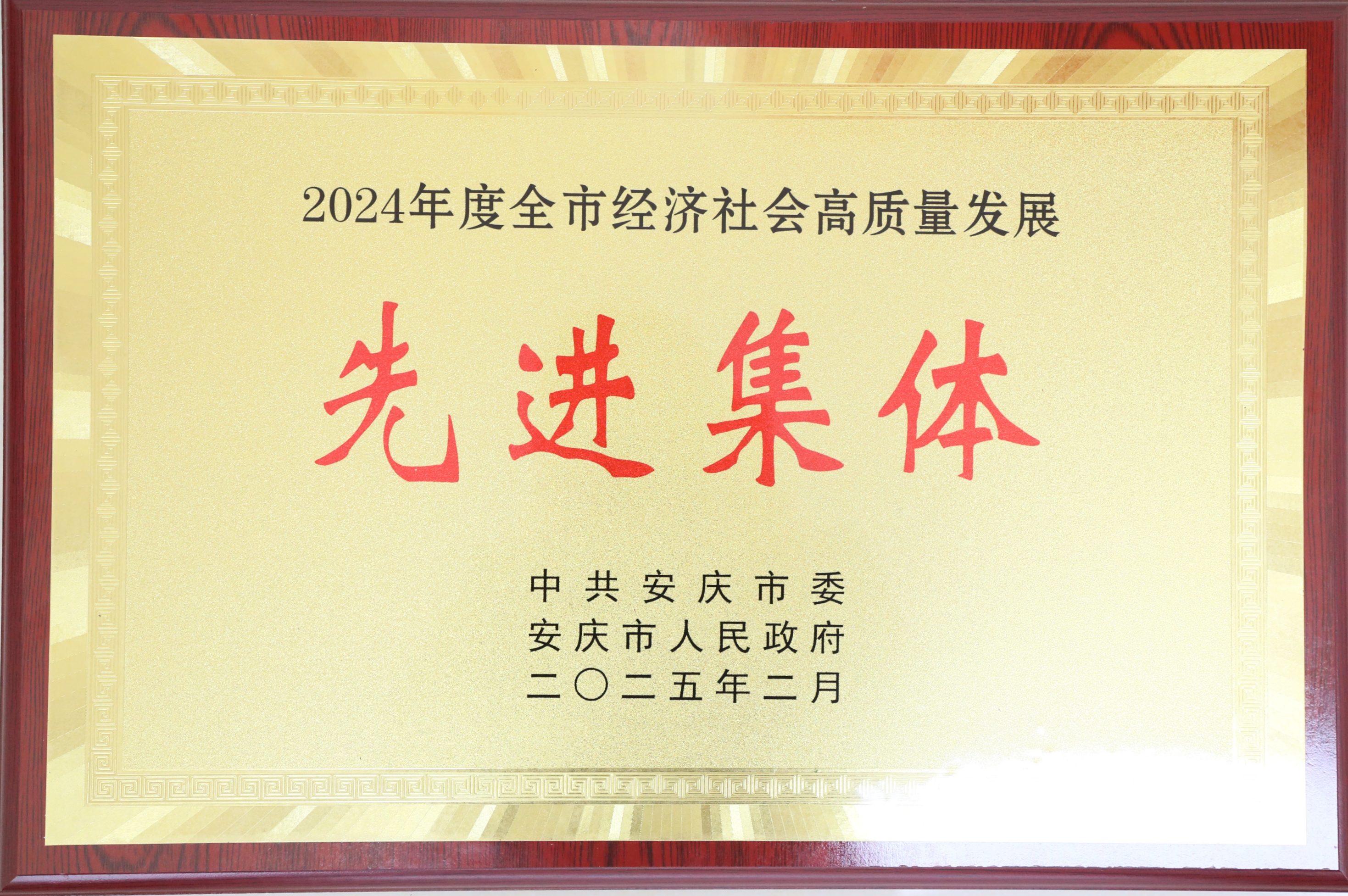 安慶市經(jīng)濟社會高質(zhì)量發(fā)展先進(jìn)集體.jpg